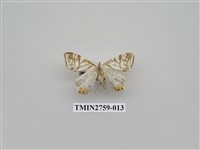 藏品(尺蛾328)的圖片